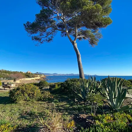 Vue Mer, Au Calme, Proche De Toutes Commodites
